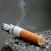 Знаете ли вы, как никотин на руках курильщика влияет на вероятность поклевки карпа?